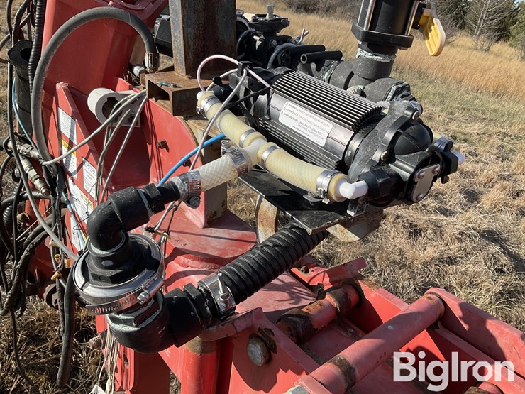 sunflower-9433-40-image-14