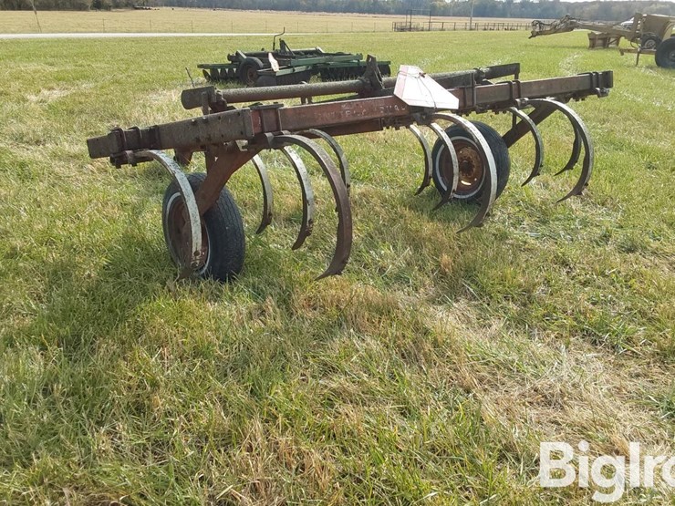 international-55-image-7