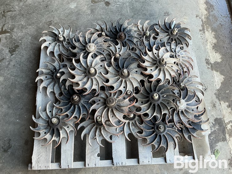 dawn-row-cleaners-image-15