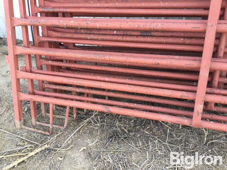 metal-livestock-panels-image-12