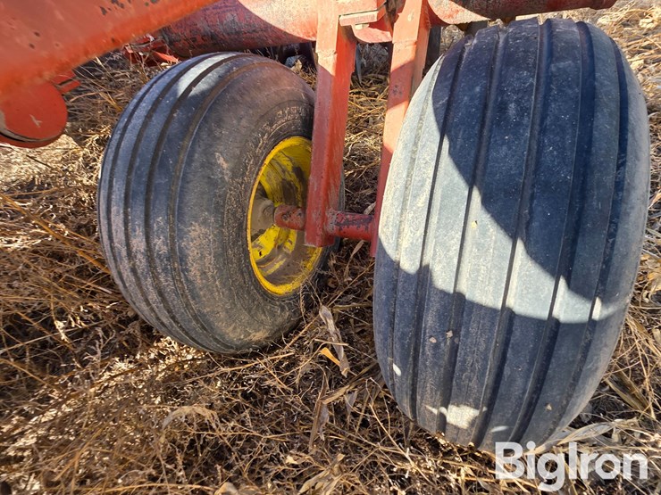 sunflower-80ta-image-20