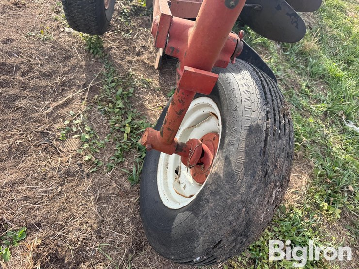 international-5-image-20