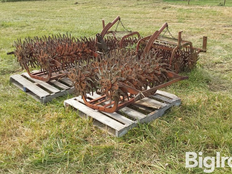 international-3-image-5