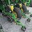 john-deere-1790-image-26