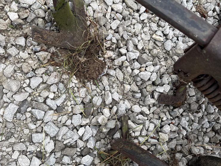 international-183-image-10