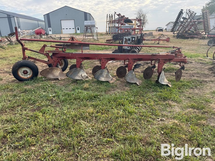 international-5-image-4