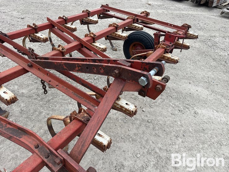 international-45-image-14