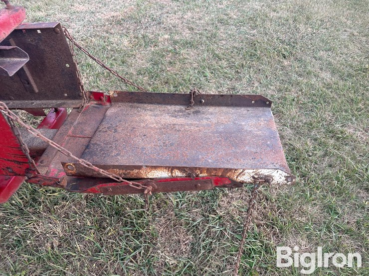 international-47-image-20