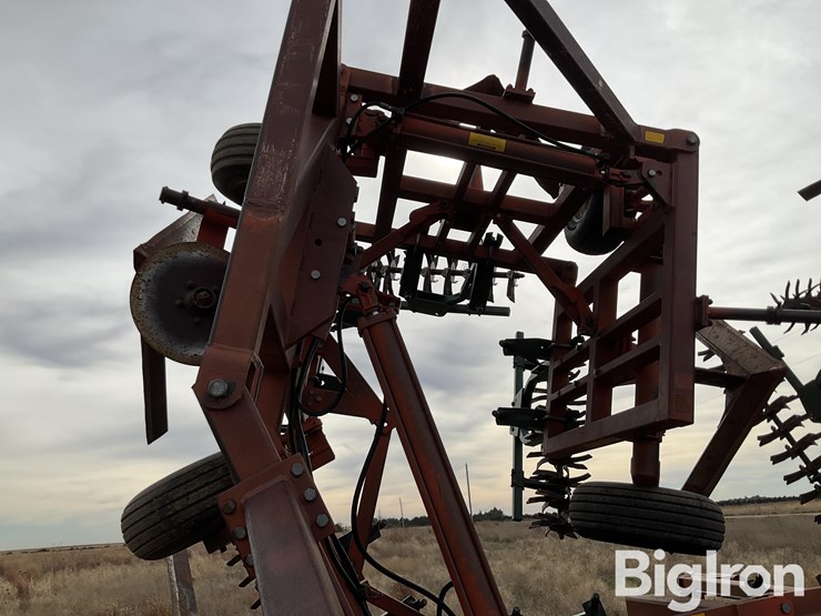 1993-sunflower-3611-55-image-20