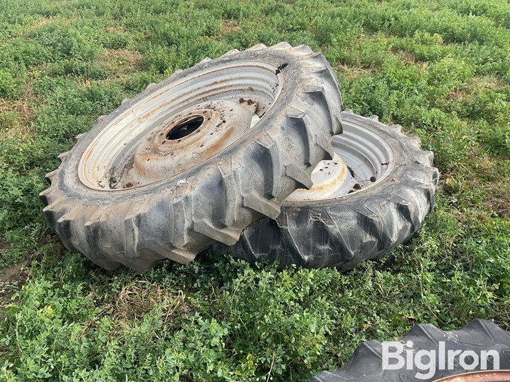 international-8-image-8