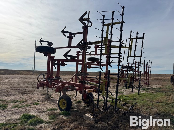 sunflower-2331-image-7