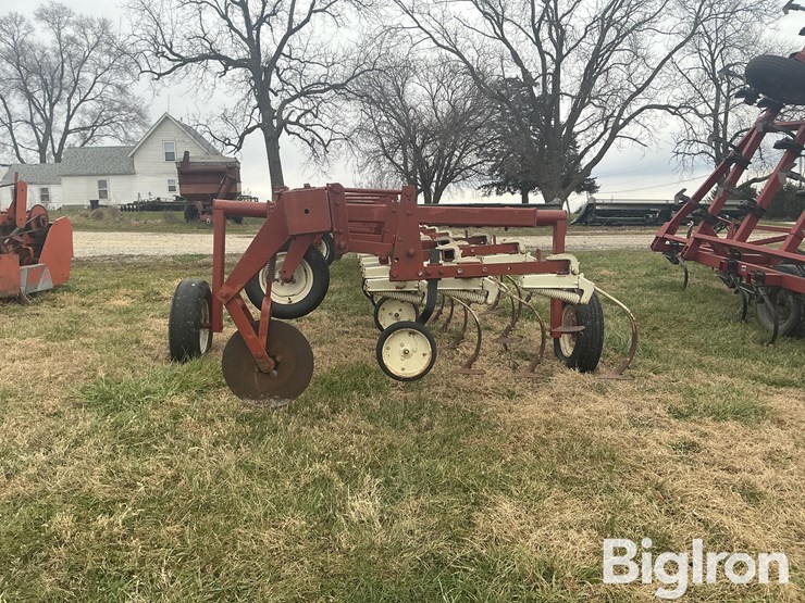 international-153-image-6