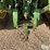 john-deere-8400-image-12