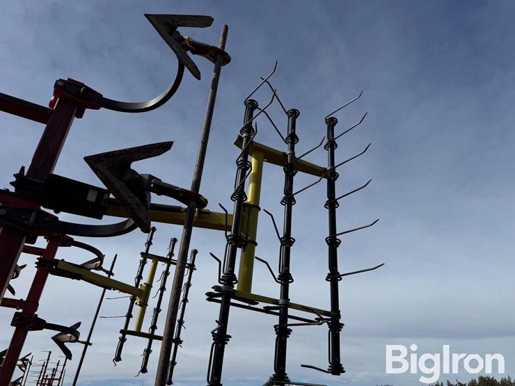 sunflower-2331-image-10