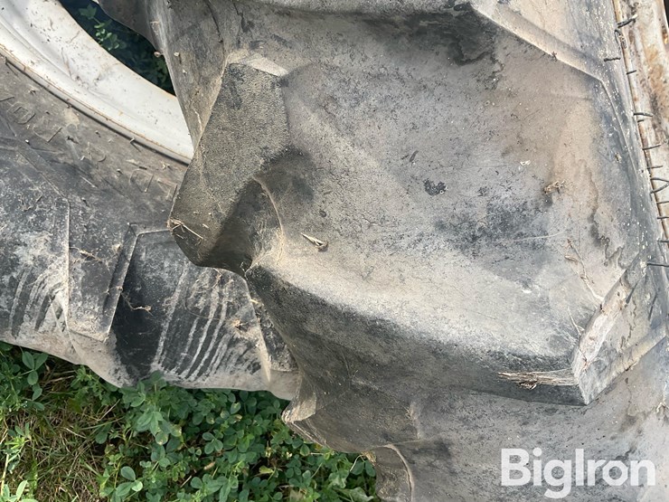 international-8-image-13