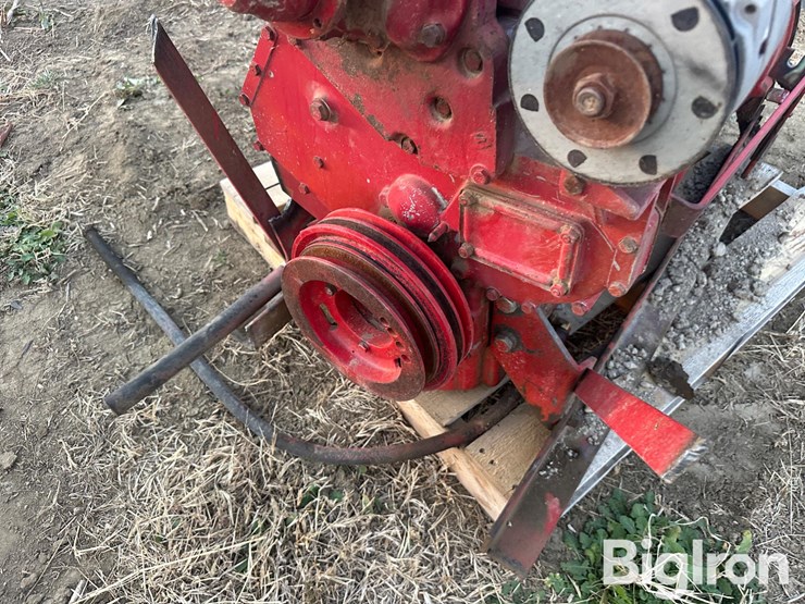 international-310-image-20