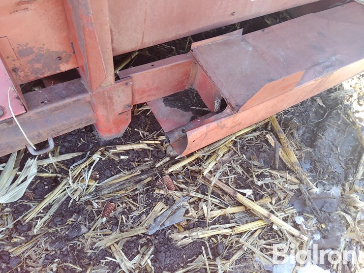 international-863-image-19