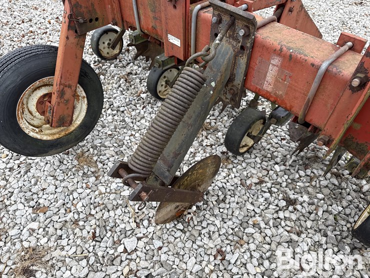 international-183-image-17