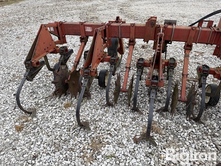 international-183-image-14