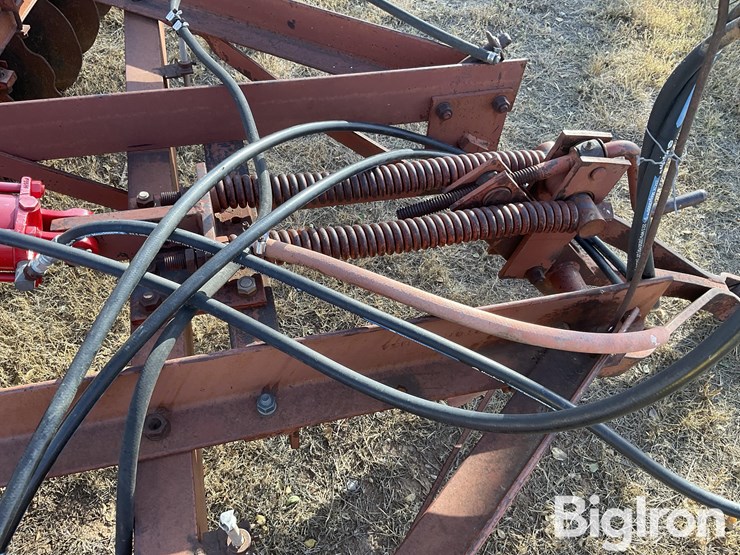 international-480-image-11