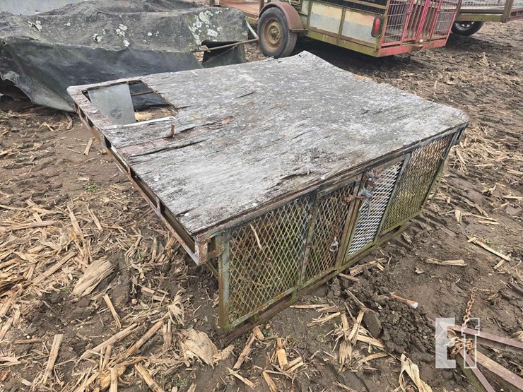 homemade-dog-image-2