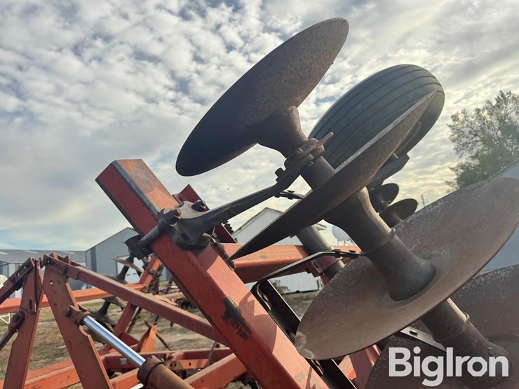 international-490-image-18