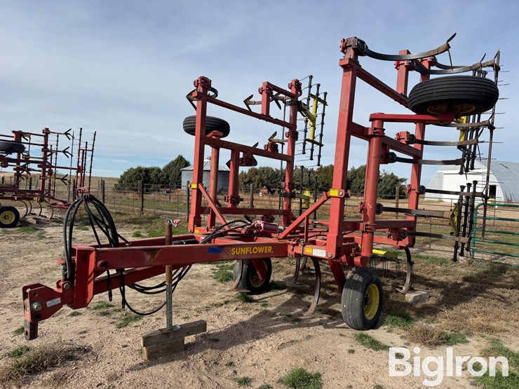 sunflower-2331-image-1