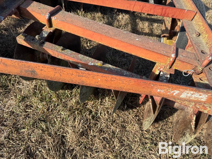 international-12-image-15