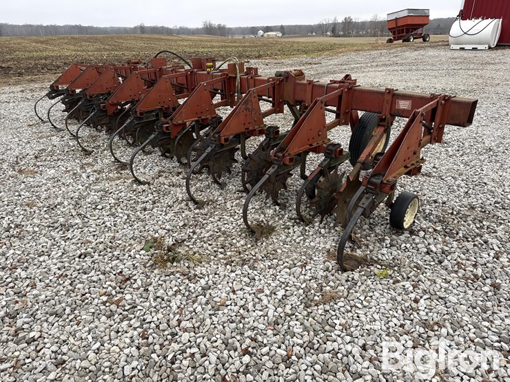 international-183-image-5