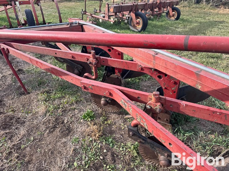 international-5-image-16