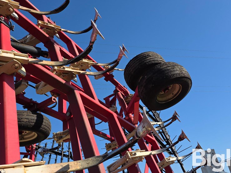 wil-rich-quad-5-image-18