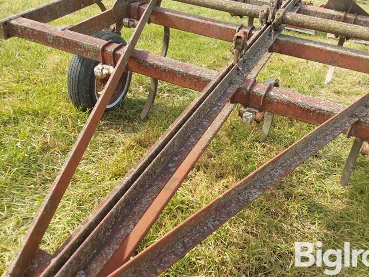 international-55-image-10