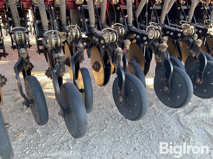 sunflower-9433-40-image-19