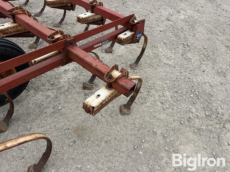 international-45-image-18