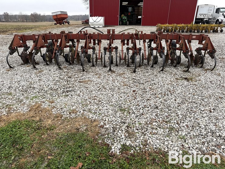 international-183-image-6