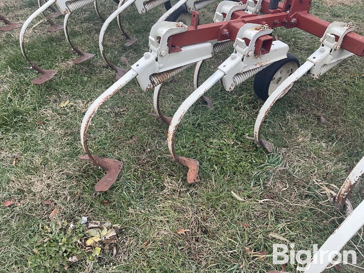 international-153-image-20