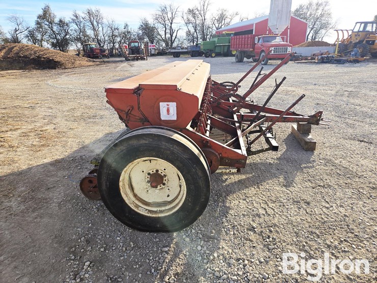 international-10-image-4