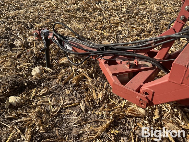 sunflower-6220-18-image-9