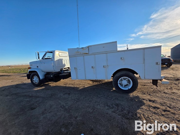 1982-caterpillar-3208-image-8