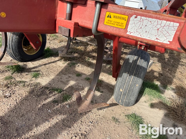 sunflower-2331-image-17