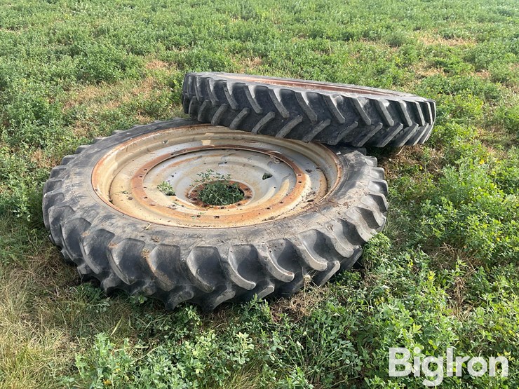 international-8-image-7