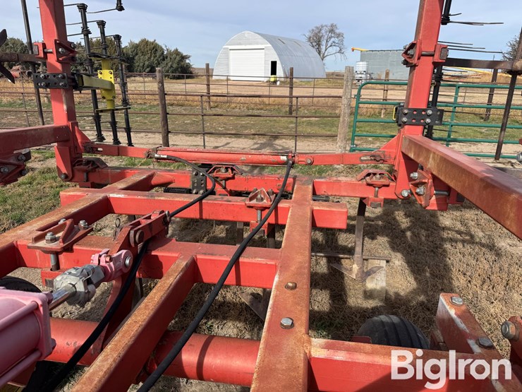 sunflower-2331-image-20