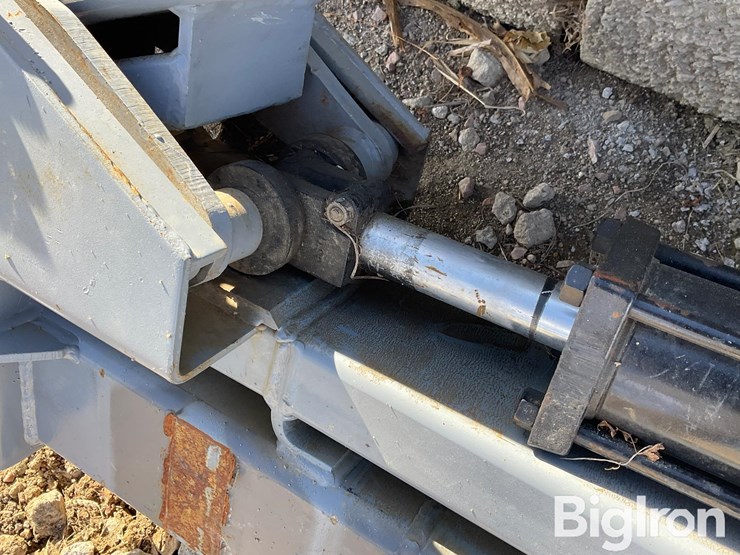 international-18-image-20