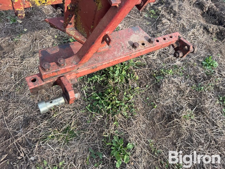 international-5-image-9