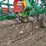 john-deere-980-image-13