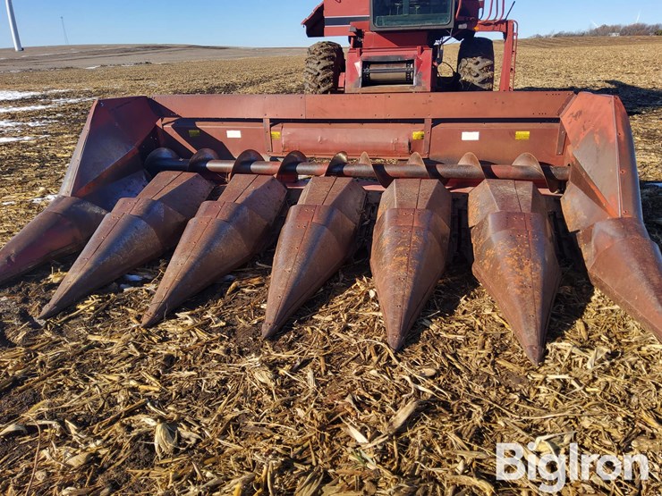 international-863-image-2