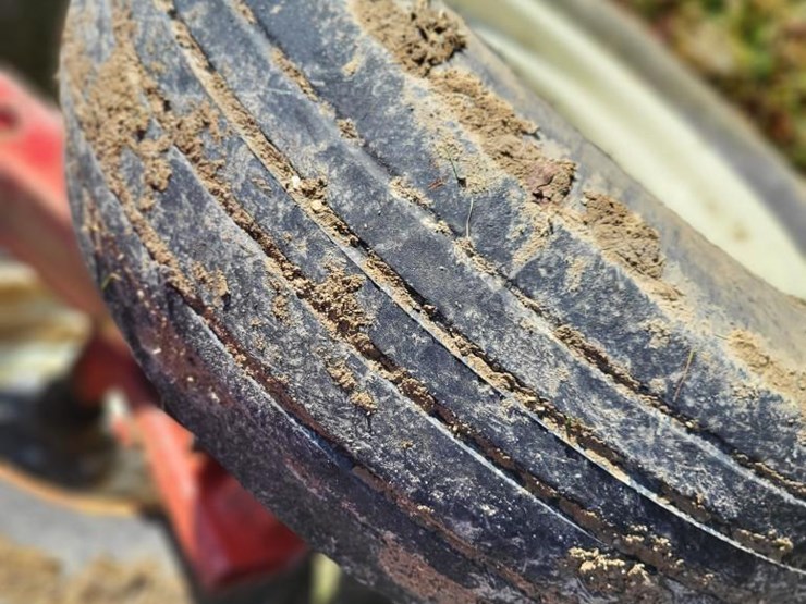 sunflower-1433-28-image-36