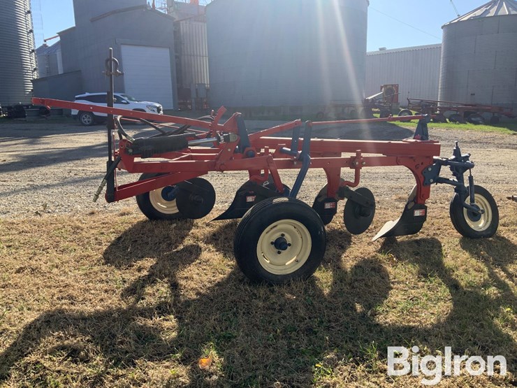 international-70-image-8