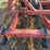 case-ih-4300-image-29