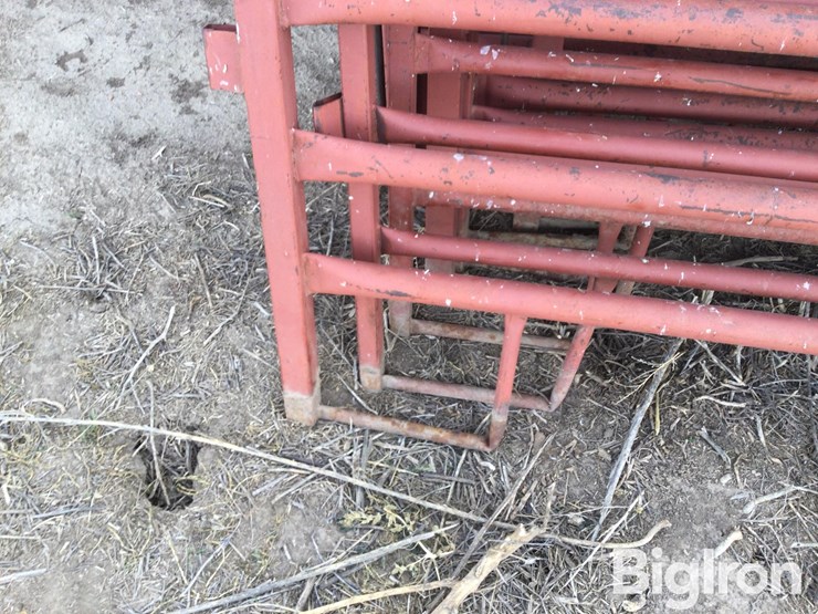 metal-livestock-panels-image-13